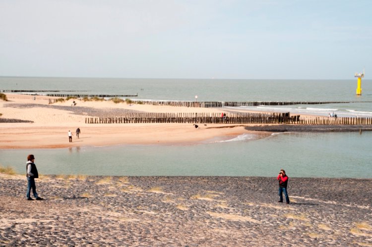 Pláž v Cadzande s drevenými bariérami.  FOTO: Xander Koppelmans DNA Image Bank www.laatzeelandzien.nl
