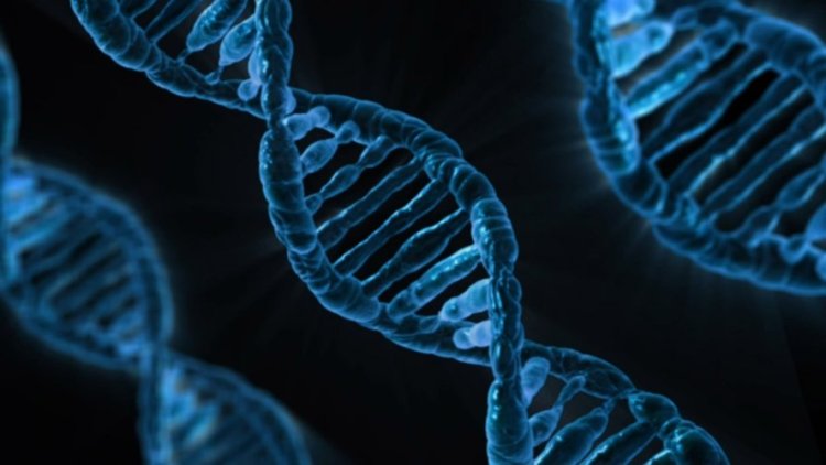 Riziko vzniku rakoviny môžeme mať zapísané v DNA. FOTO: Pixabay
