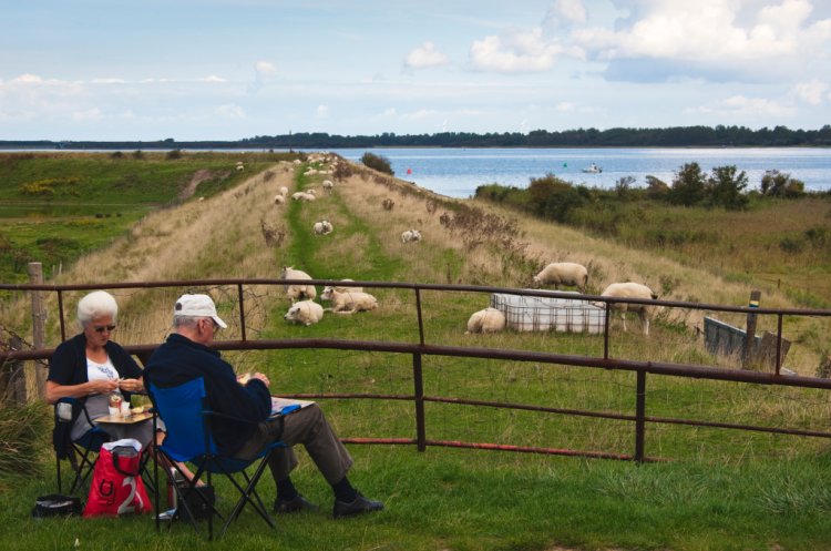 Oblasť Zeeland v Holandsku spĺňa prísne kritériá na čistotu životného prostredia. FOTO: Ben Seelt DNA Image Bank www.laatzeelandzien.nl