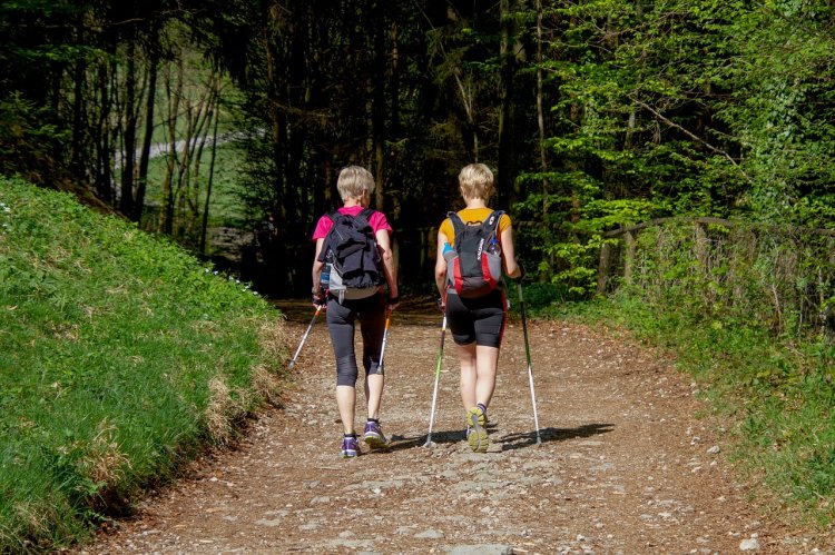 Ak chcete chôdzou schudnúť, vyskúšajte nordic walking. FOTO: Pixabay
