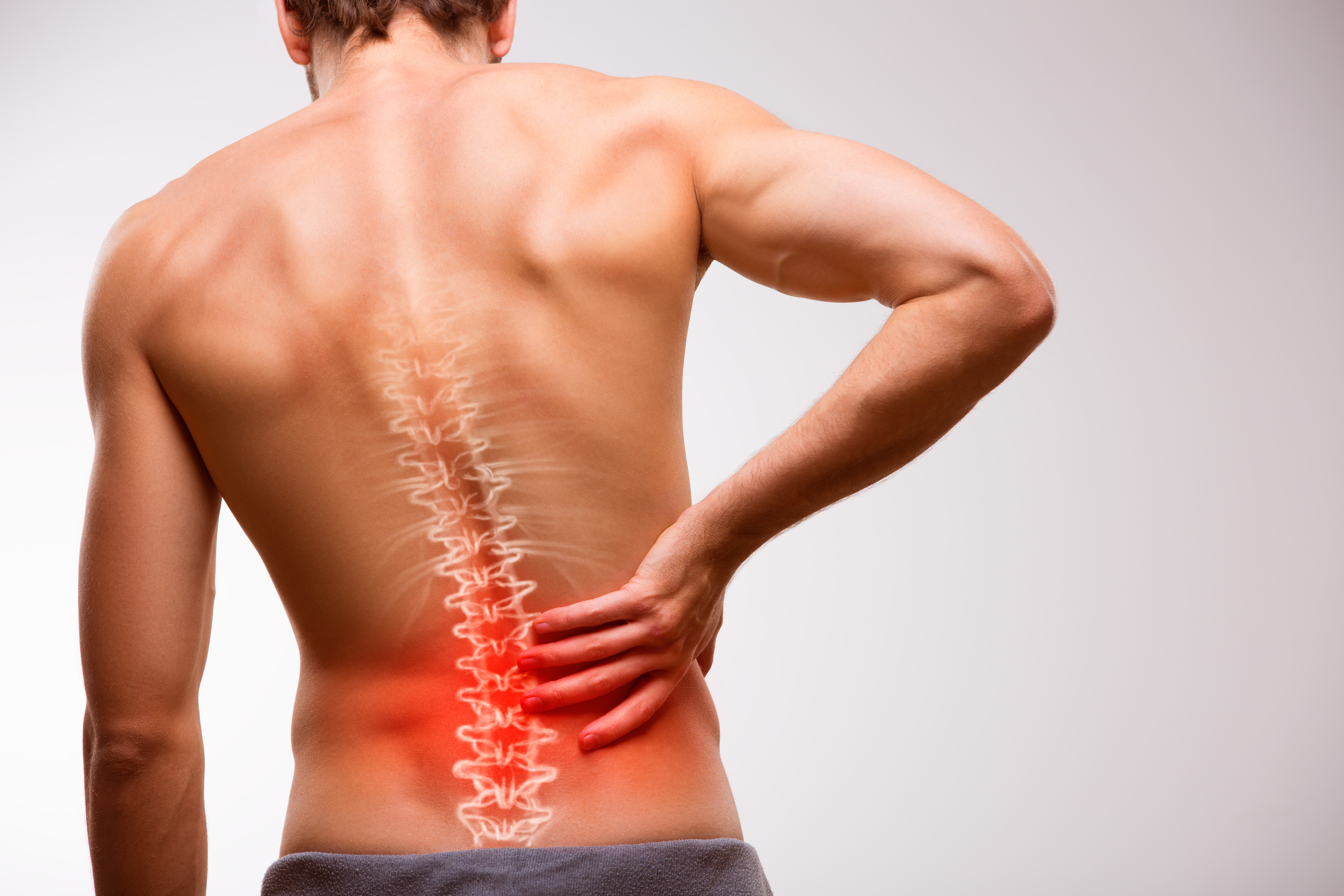 Za počiatočnými bolesťami chrbta sú zvyčajne svaly. Foto: Adobe Stock