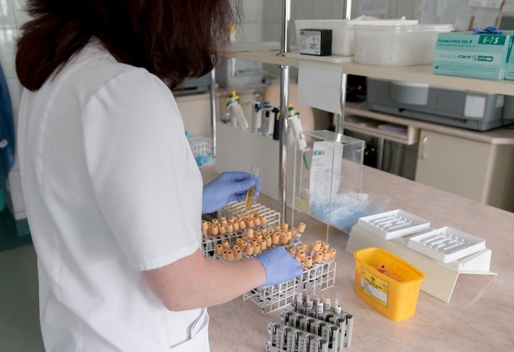 Genetické testovanie je náročný proces. FOTO: Pixabay