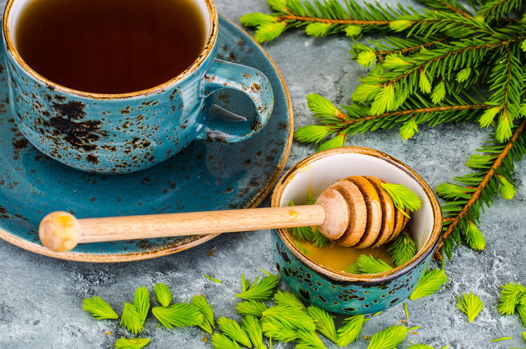Čaj zo smrekových výhonkov je nielen voňavý, ale aj liečivý. FOTO: Adobe Stock