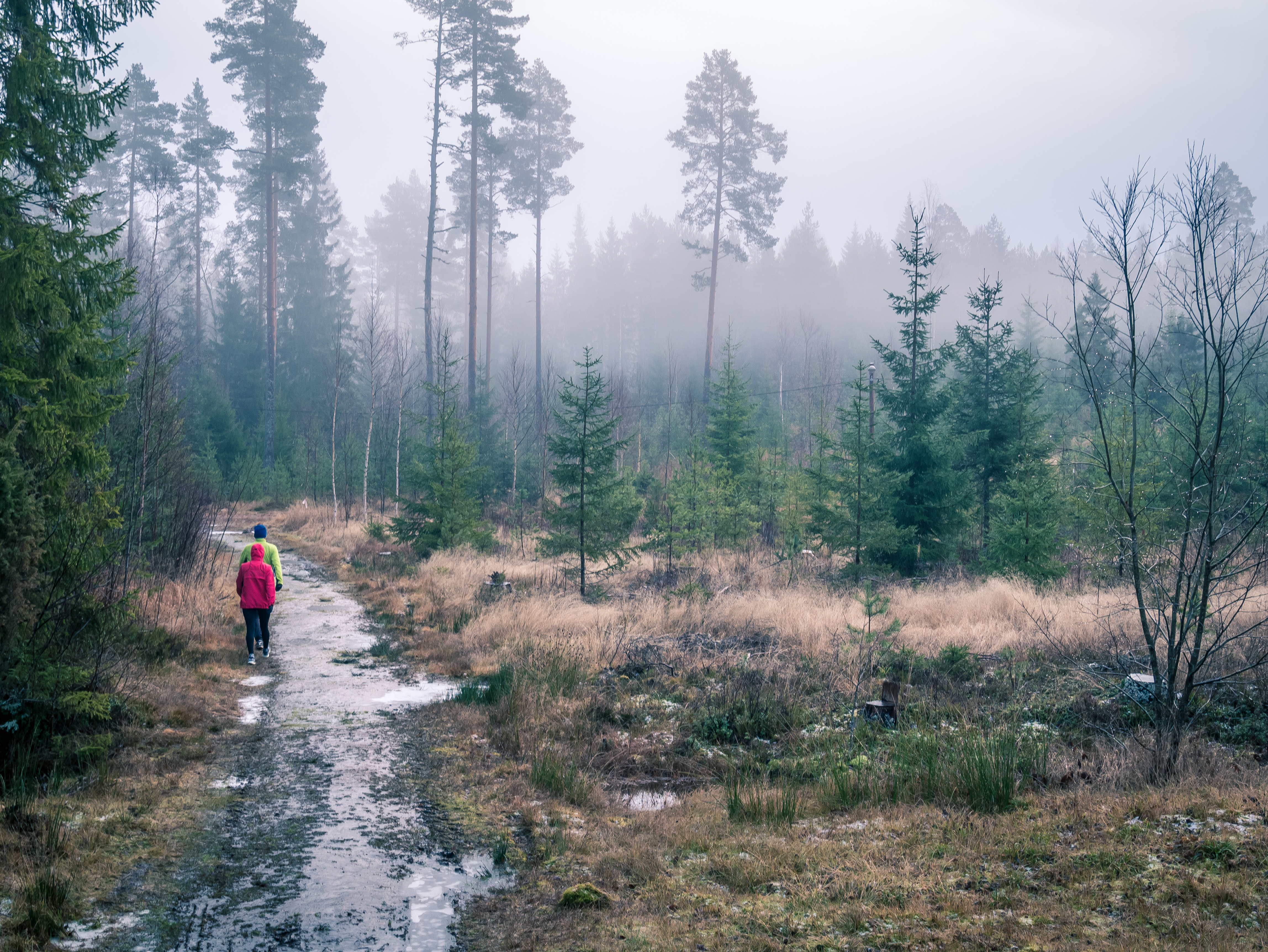Vyberte sa von aj v zlom počasí. Dobre sa oblečte, čerstvý vzduch vám prevetrá hlavu a zlepší náladu. FOTO: Adobe Stock