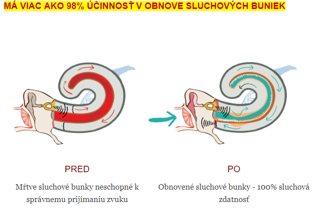 Verné obrázky a pojmy ako bio, prírodný, testovaný môžu ľudí oklamať. FOTO: yourmarket24.com/421/biostenixse-med/gps/order_page.php